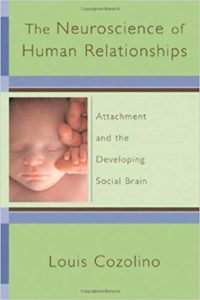 The Neuroscience of Human Relationships: Attachment And the Developing Social Brain