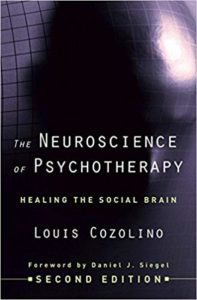 The Neuroscience of Psychotherapy: Healing the Social Brain